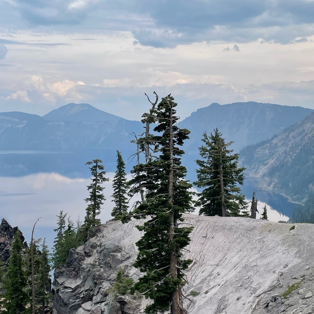 Meet your Posher, Pamela